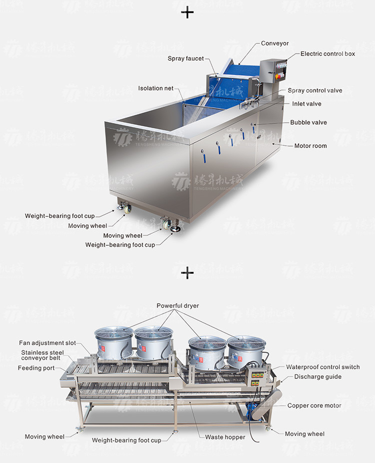 Revolutionize Your Production Process with Our Fruit And Vegetable Processing Line