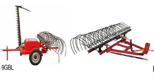 Double entry lawn mower,