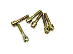 China Electric Meter Screws Thread Stainless Steel Machine Screws Ironplated M3x8 C1035K Material on sale