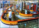 Orange Apple Pineapple Juice Bottling Machine Perfect Temperature Control System