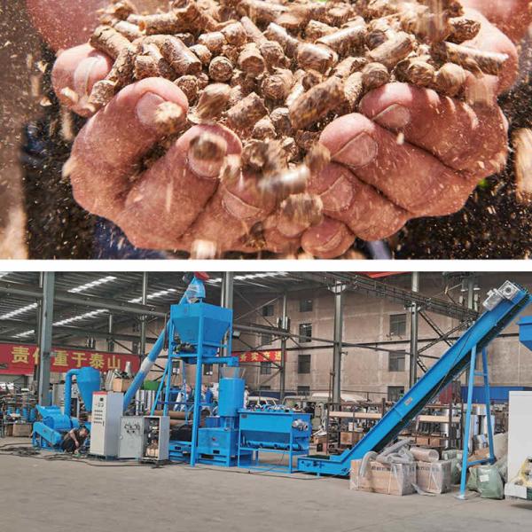 Quality 90-160kw Biomass Pellet Production Line 10-30mm Pellet Automatic Packing Machine for sale
