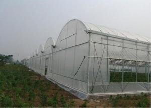 Buy cheap Professional Insect Mesh Netting , Insect Wire Mesh IOS SGS Standard product