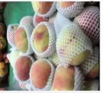Automatic plastic foaming net set machine Fruit net set machine