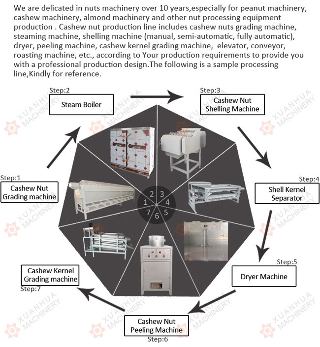 Artificial Cashew Nut Processing Machine 90-95% Shelling Rate Simple Operation