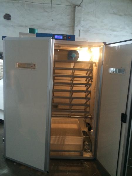Quality Digital Egg Setter Incubator Hatcher 7956 Quail Egg Hatching Machine for sale