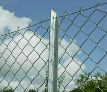 chain link fence Hot Sale Chain Link Fence Made In China/ Chain Link Fence Manufacture