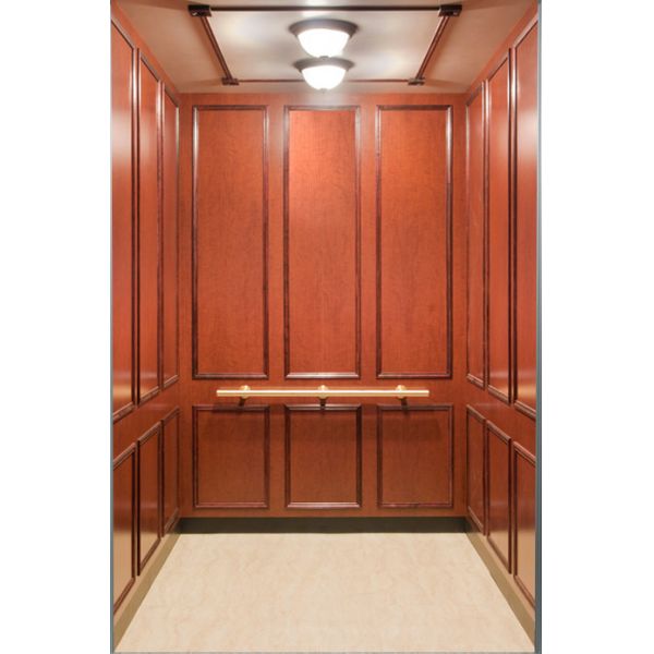 Load 250~400kg Low Noise Durable Cheap Small Panoramic Gass Home Lift Elevator