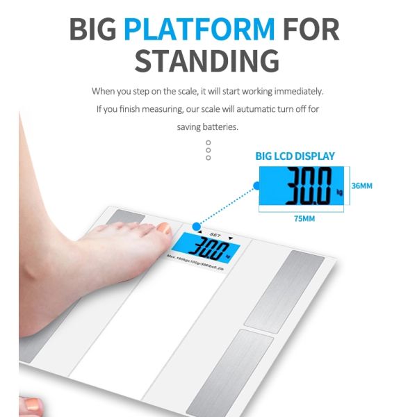 Accurate LCD Display Electronic Body Fat Analyser Scale