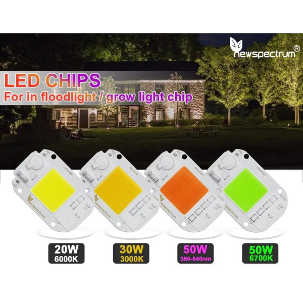 Driverless 50w Led Module