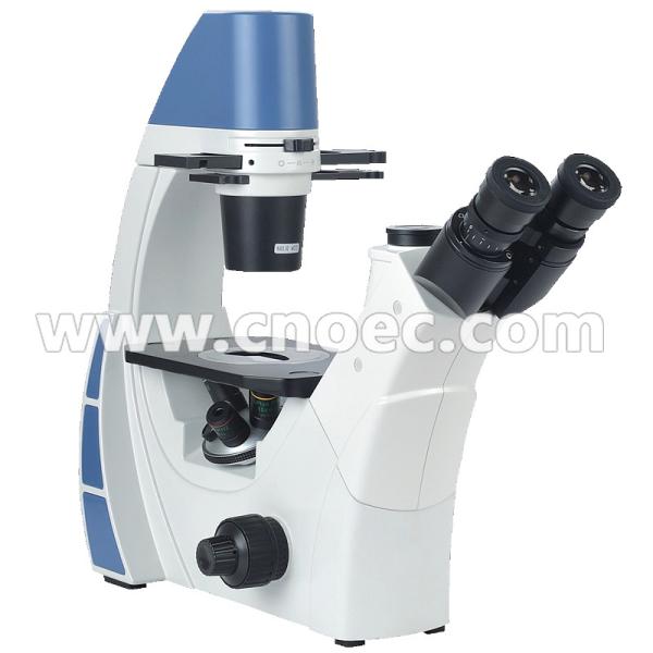 Quality Ergonomic Phase Contrast Microscopy , Infinity Color Corrected Optical System A19.0901 for sale