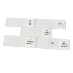High Performance Prepared Prepared Slides For Biology VIC26 100pcs