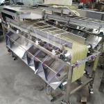 Automatic Apple Grading Equipment , Orange Strawberry Fruit Sorting Machine
