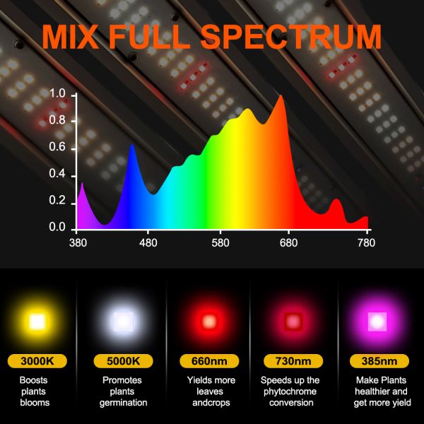 BAVAGREEN 4x4 Growbox Kit 600W Samsung LM301H EVO LED Grow Light 120X120CM Growzelt with Smart Ventilation System