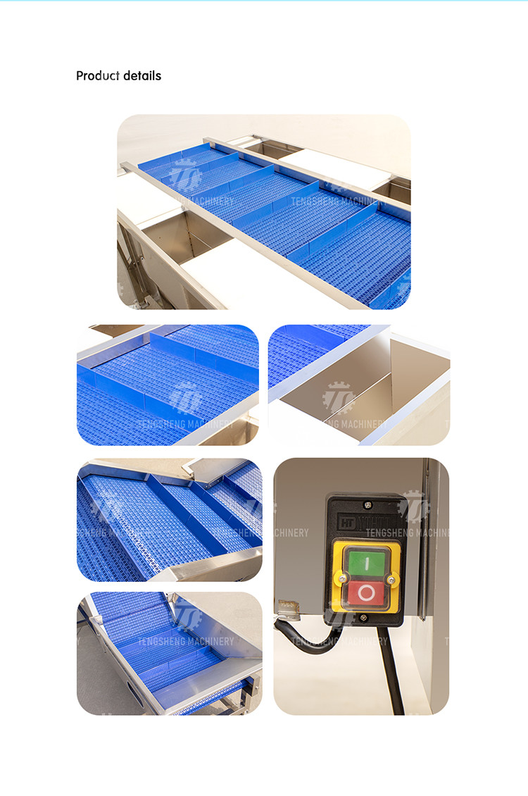 Industrial Automatic Leafy Vegetable And Fruit Lifting Sorting Table Machine