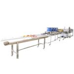 Continuous Food Drying Machine Fruit Bubble Washing Processing Line