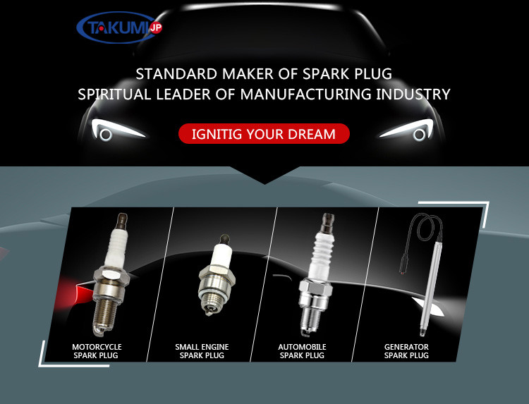TS16949 Certifie Motorcycle Spark Plug Replacement