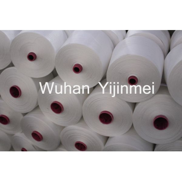 20S /2 30s/2 40s/2 Raw White Yarn / High Tenacity Polyester Yarn For Knitting Usage