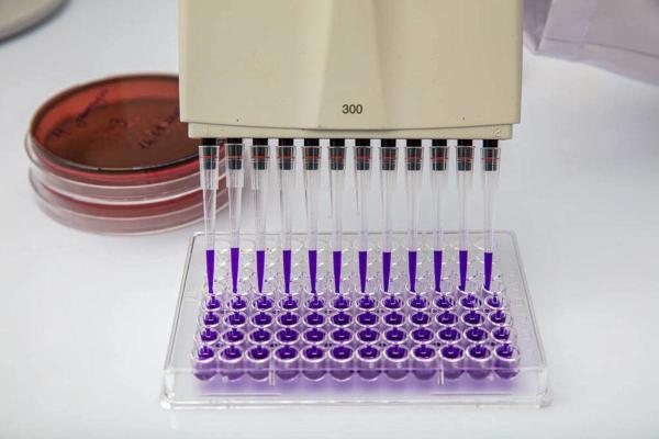 Quality Liquid Handling Medical Device Moulding Multi-Cavity Micro Pipette Molds plastic injection molding automotive parts for sale