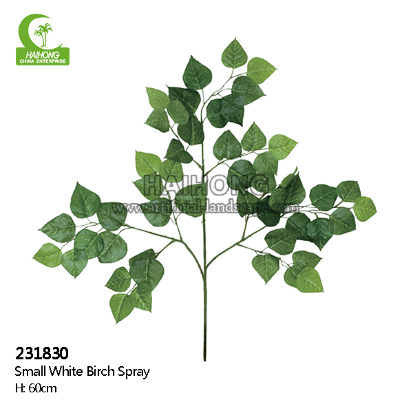small white brich spray