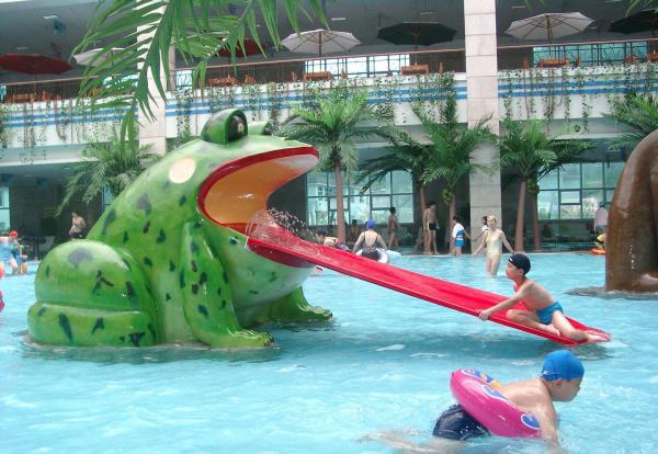 Quality Frog Water Slide Kids Water Playground Equipment For Swimming Pool for sale