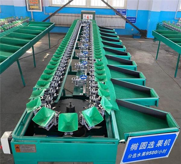 fruit weight sorting machine,fruit weight classifier,apple sorting machine