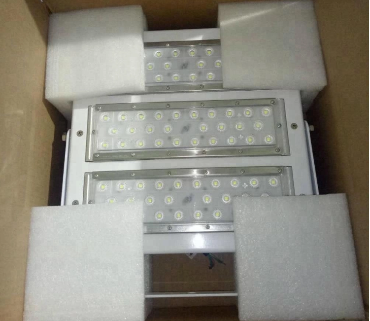High Power AC100-240V Modular LED Flood Light Aluminum Housing Dimmable