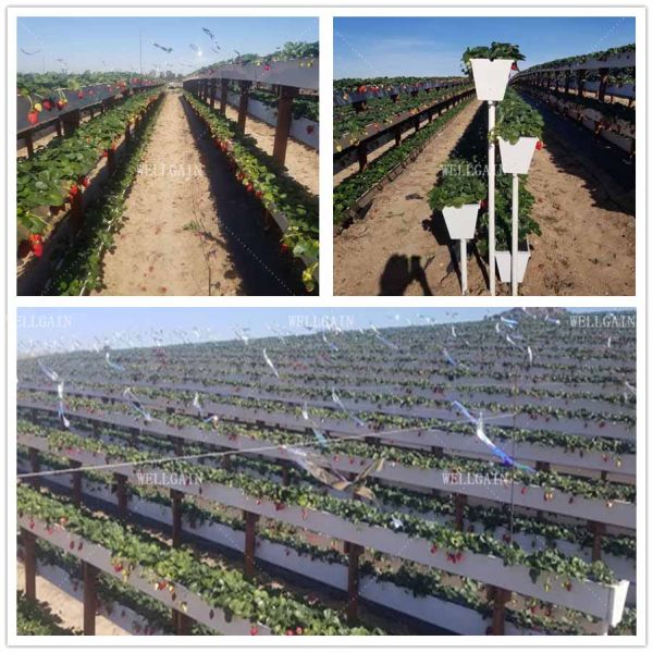 Indoor And Outdoor Hydroponic Planting Grow Troughs Plastic Trough For Hydroponics Strawberries