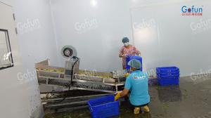 Stainless Steel 304 NFC Juice Puree Production Line Aseptic Filling EU Certification