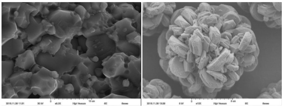 Magnification Max 60000X Scanning Electron Microscope 15nm Resolution Optional EDS