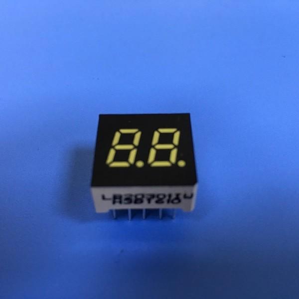 Anti Moisture Two Digit Seven Segment Display Various Colours For Digital Clock