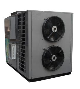 High temperature  heat pump 85 degree dry fruit