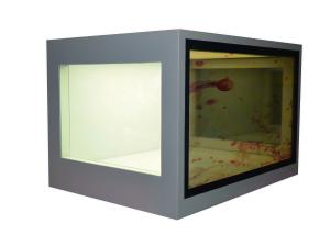 21.5 Inch Transparent LCD Screen Custom Accepted See Through LCD Display