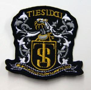 China TS Dragon Custom Embroidered Patches Cotton Fabric for Soccer Suit on sale