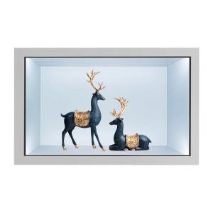 Buy cheap 21.5 Inch Transparent LCD Showcase Capacitive Touch Screen Digital Display Cabinet product