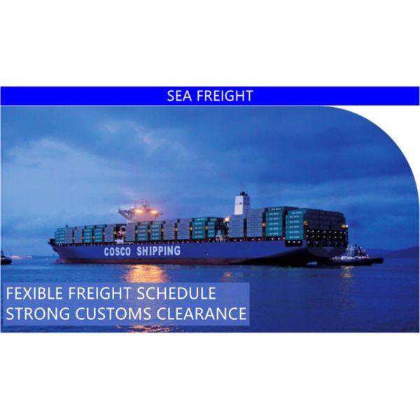 Professional Ocean Freight Shipping From Shenzhen to USA Baltimore, Seattle, Tacoma, Portland