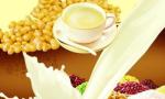 Soymilk machine 500L/H bean grinder/automatic grinding machine/ automatic