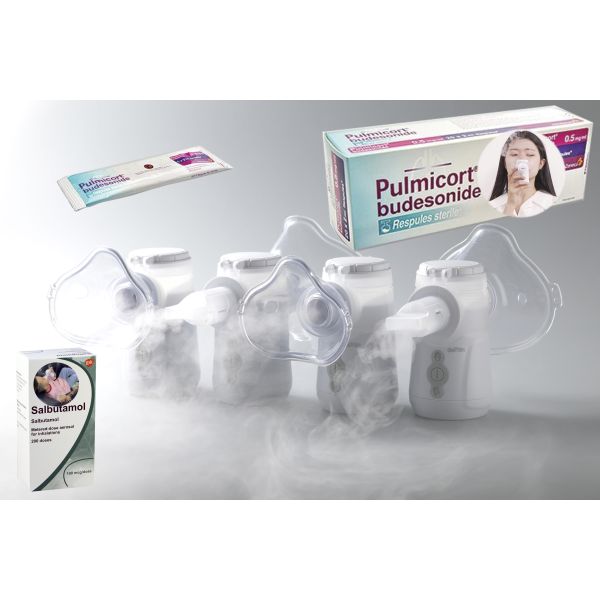 Double Channel Medical Portable Inhaler Nebulizer IP45 With Mask Mouthpiece