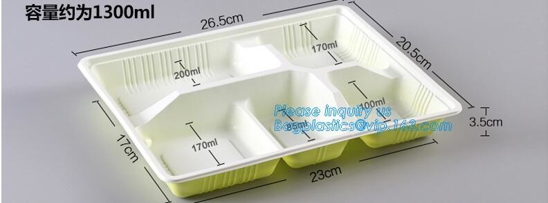 Blister large clear plastic fruit container with lid for fruit packaging,blister fruit box /container/ fruit Tray/ Clear