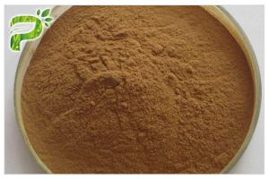 China Ginseng Root Extract 20(R)-Ginsenoside Rh2/rg 3 Anticancer on sale