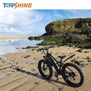 China Hydraulic Brake 26X4 Tyre 500w Fat Tire Electric Bike Ebike With GPS Locating LCD on sale