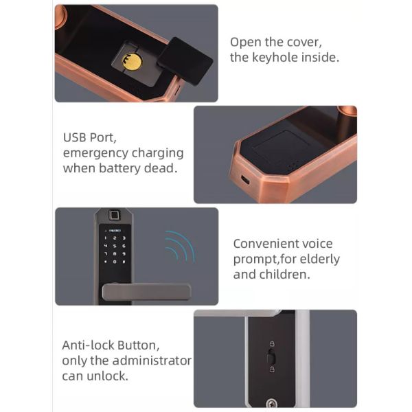Damp Proof Fingerprint Smart Door Lock Size 20mm For Apartment