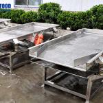 Continuous Food Drying Machine Fruit Bubble Washing Processing Line