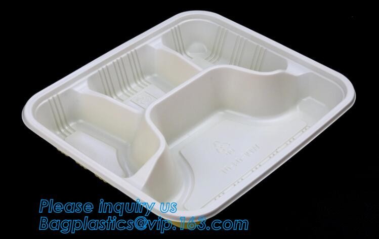 Blister large clear plastic fruit container with lid for fruit packaging,blister fruit box /container/ fruit Tray/ Clear