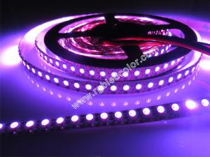 China high brightness 3535 mini rgb led strip ws2812b on sale