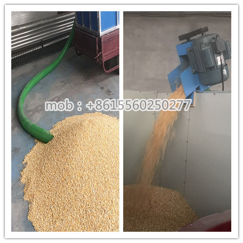 Transporting moringa seed broomcorn cereal auger screw conveyor
