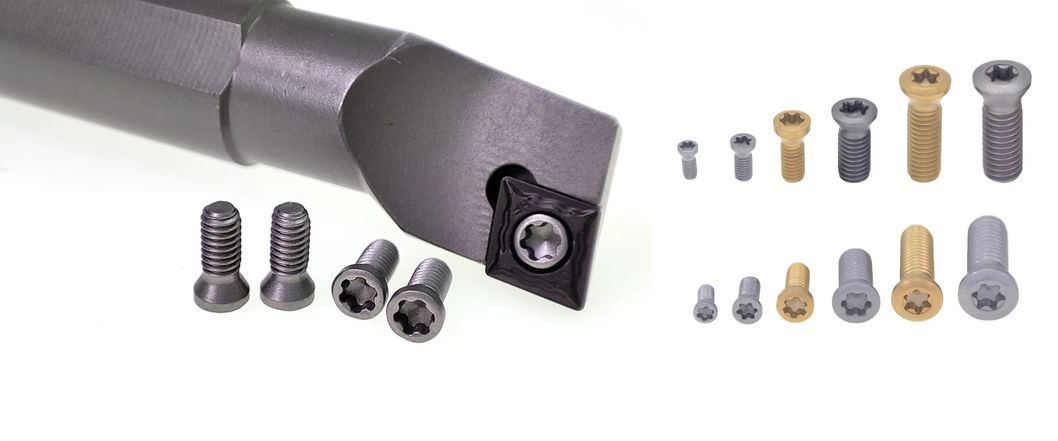 M1.6 M1.8 M2 M2.5 M3 M3.5 M4 M4.5 M5 M6 M8 Cutting Tool Screw Customized High Strength Screws for Cutting Tool Fasteners Insert and Indexable Mill Fasteners
