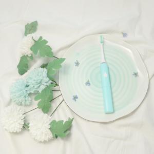 China Smart Two Minute Timer Oral Care Toothbrushes 6 Modes Rechargeable on sale