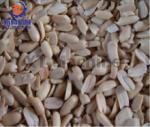 Salty Peanut Butter Grinding Machine Grinder Machine Processing Equipment