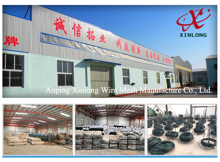 Hexagonal Wire Mesh 16 Gauge Galvanized Wire Mesh / Chicken Mesh Wire Fencing
