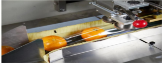 Fruit And Vegetables Multi Packaging Machine 100-230 Bag / Min